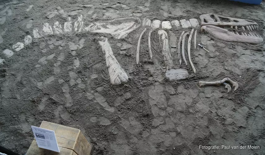 Gigantische dinosaurus opgegraven bij Vue Heerhugowaard: Nieuwe Jurassic World is uit!