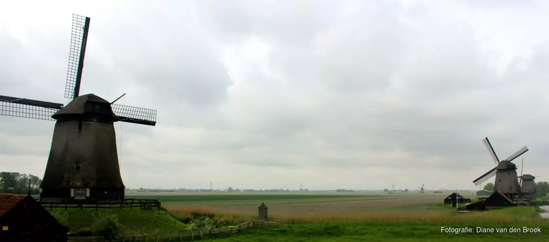 Noord-Holland zet poldermolens in bij strijd tegen wateroverlast: "Steeds meer stortbuien"
