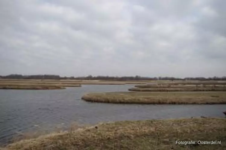 Beroepsvisser gaat rivierkreeftenplaag in Oosterdelgebied bestrijden