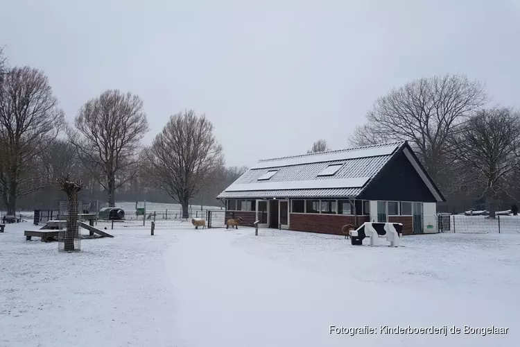 Winterfeest bij Kinderboerderij de Bongelaar