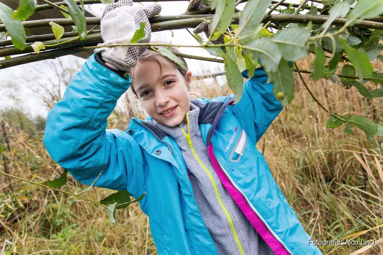 Geld beschikbaar voor goede ideeën van innovatieve groene vrijwilligers