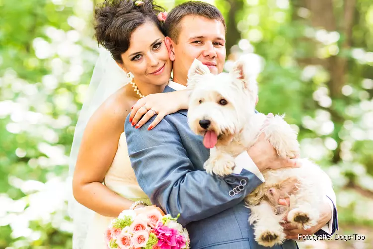Dogs-Too: Je hond op je bruiloft!
