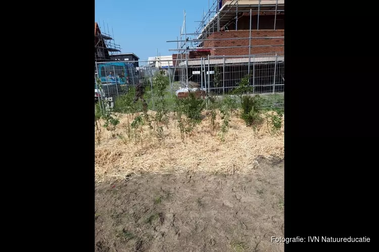 Eerste bewoner nieuwbouwwijk Heerhugowaard wint minibos in tuin