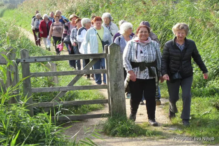 Wekelijks wandelen in Heerhugowaard en Langedijk