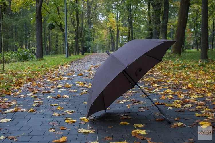 Code geel vanwege zware windstoten: maximumsnelheid Markerwaarddijk beperkt