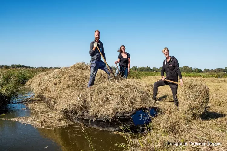 Ondernemers en medewerkers klussen voor maatschappelijke organisaties tijdens De Waaier in Actie