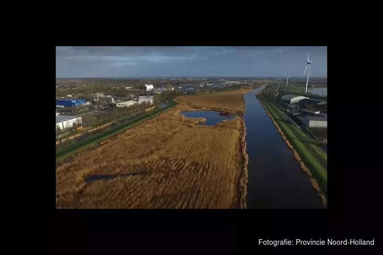 Nieuwe rietlanden in omgeving Alkmaar van enorme natuurwaarde