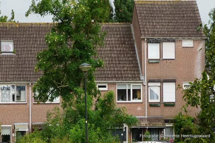 Pionierssubsidie voor particuliere woningen Rivierenwijk-Zuid