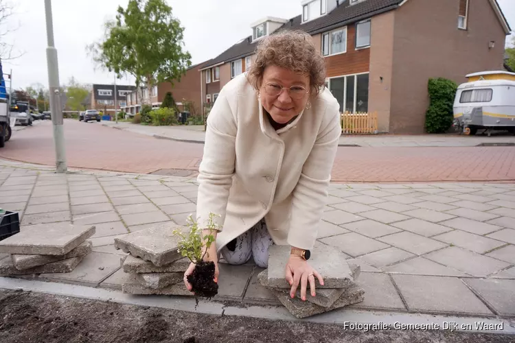 Doe mee aan het NK Tegelwippen: tegel eruit, groen erin!