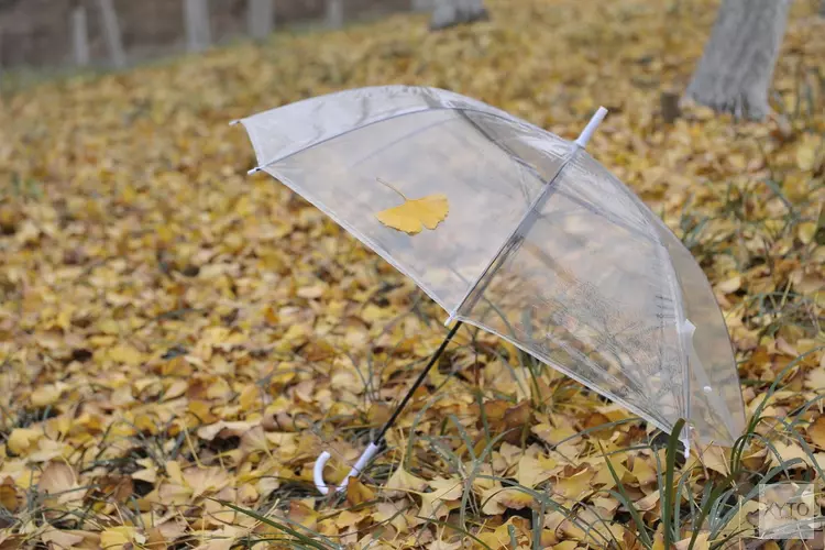 Maandag nog zonnig, daarna wisselvallig met lagere temperaturen