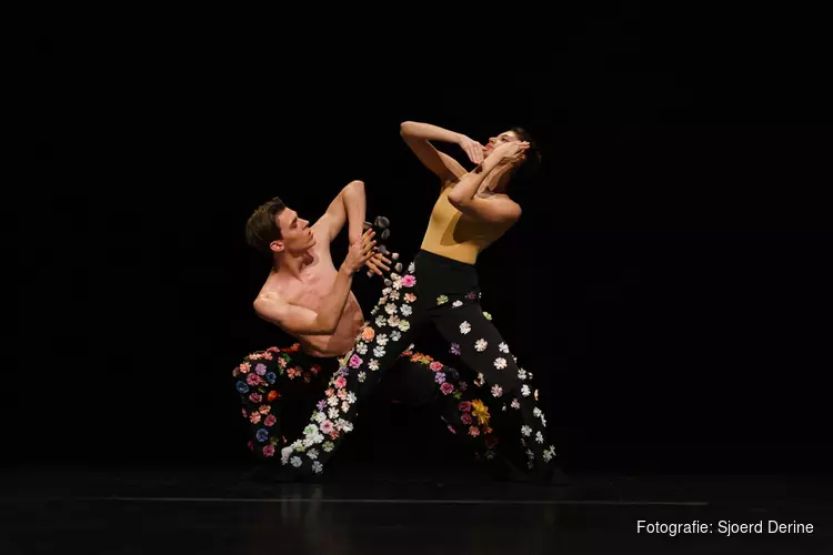 Holland Dance Festival toont veelzijdig danstalent bij Cool!