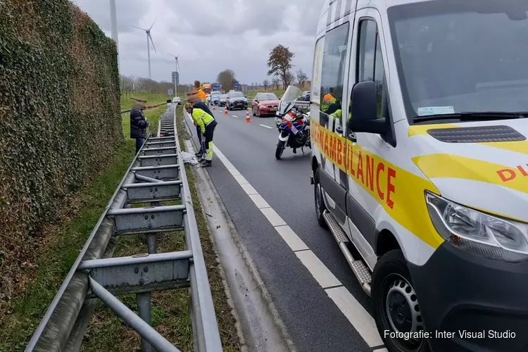 Hond aangereden op N242 bij Heerhugowaard