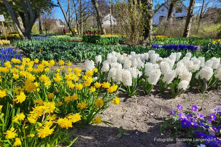 Voorjaar in Poldertuin Anna Paulowna