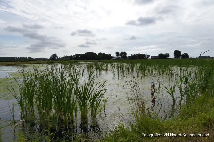 Natuurwandeling Geestmerambacht zondag 3 december 2023