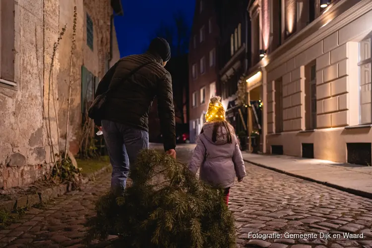 Verdien een extra zakcentje door kerstbomen in te leveren. Traditie uit Langedijk nu in heel Dijk en Waard