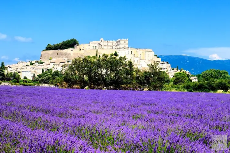 Geniet van de diverse schoonheid van de Provence