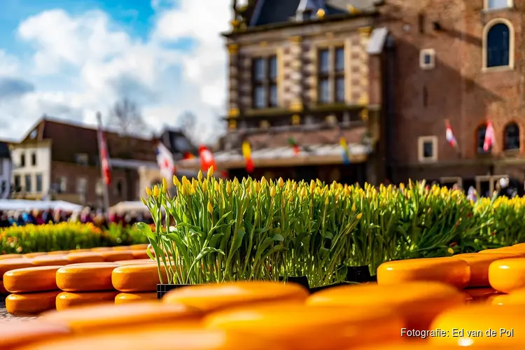 Laurens ten Dam opent Tulpenkaasmarkt Alkmaar