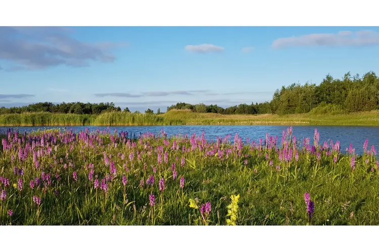 Natuurwandeling Park van Luna op zondag 9 juni