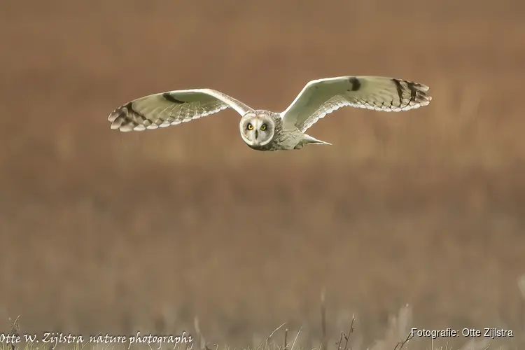 Expositie van Natuur Fotografieclub Objectief in Bibliotheek Heerhugowaard