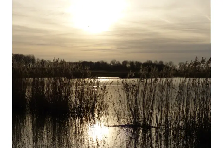 Natuurwandeling op zondag 19 januari door Geestmerambacht