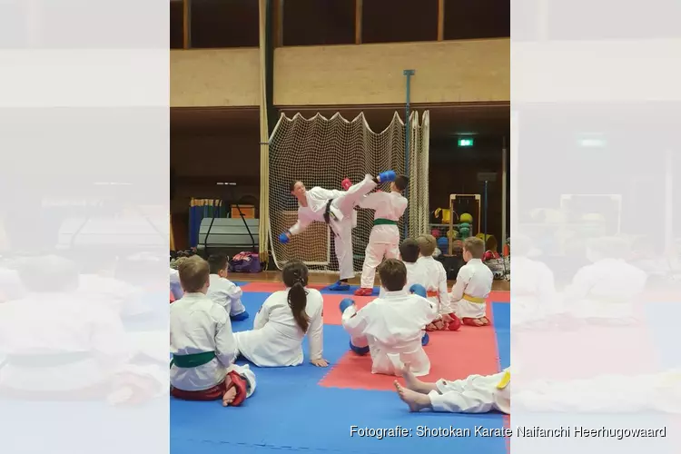 Nederlandse kampioen geeft gastles bij Shotokan Karate Naifanchi Heerhugowaard.